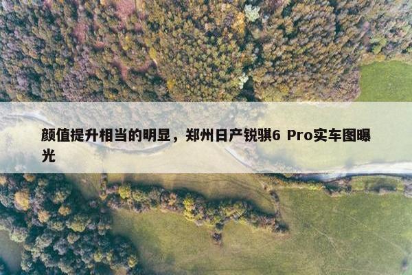 颜值提升相当的明显，郑州日产锐骐6 Pro实车图曝光