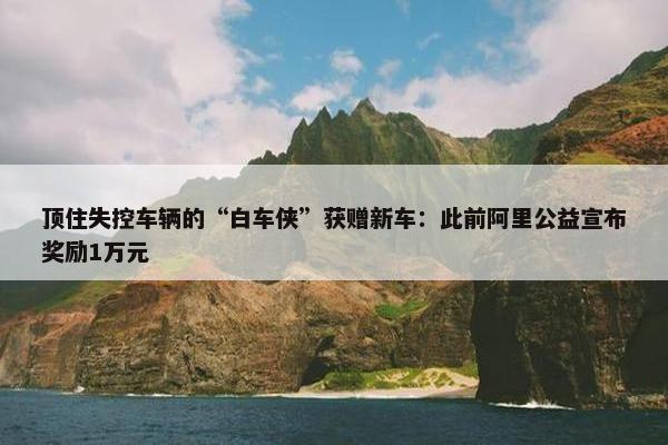 顶住失控车辆的“白车侠”获赠新车：此前阿里公益宣布奖励1万元