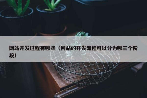 网站开发过程有哪些（网站的开发流程可以分为哪三个阶段）