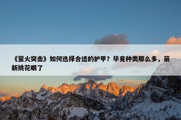 《萤火突击》如何选择合适的护甲？毕竟种类那么多，萌新挑花眼了