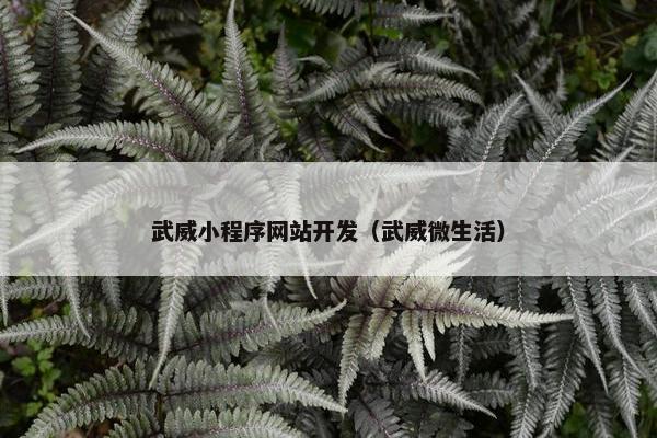 武威小程序网站开发（武威微生活）