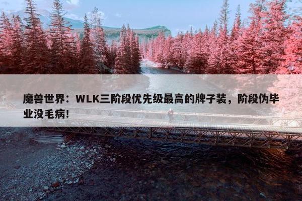 魔兽世界：WLK三阶段优先级最高的牌子装，阶段伪毕业没毛病！