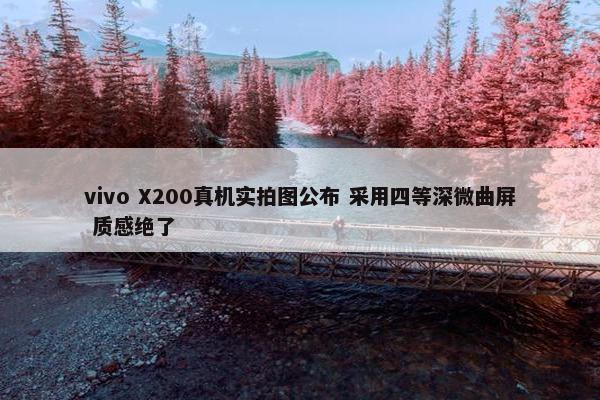 vivo X200真机实拍图公布 采用四等深微曲屏 质感绝了