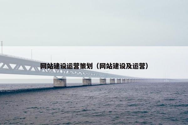 网站建设运营策划（网站建设及运营）