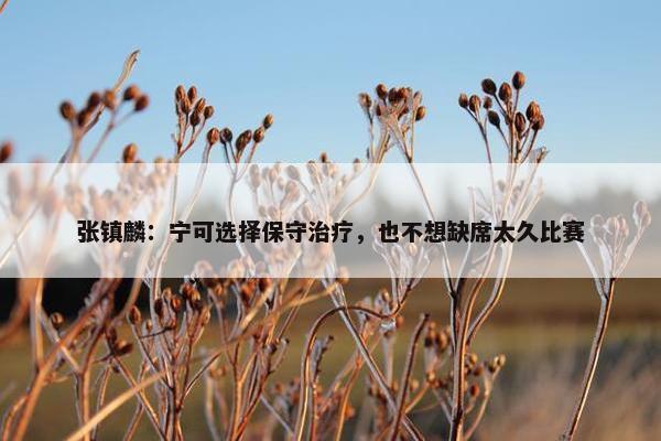 张镇麟：宁可选择保守治疗，也不想缺席太久比赛