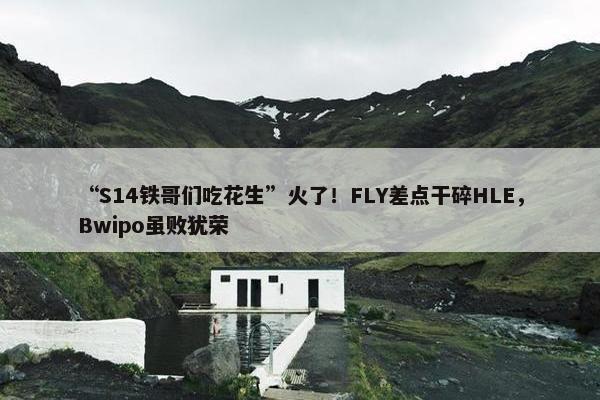 “S14铁哥们吃花生”火了！FLY差点干碎HLE，Bwipo虽败犹荣