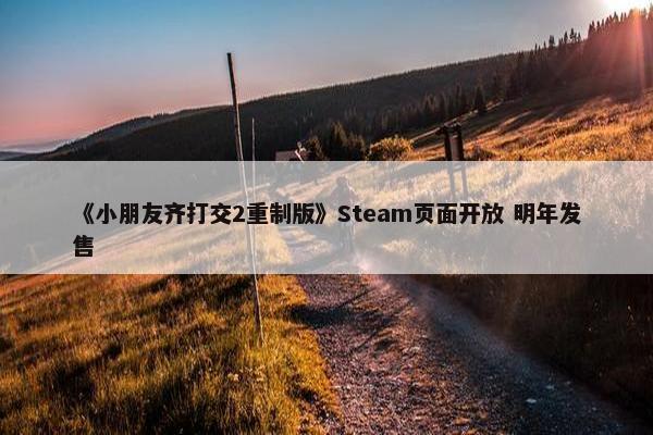 《小朋友齐打交2重制版》Steam页面开放 明年发售