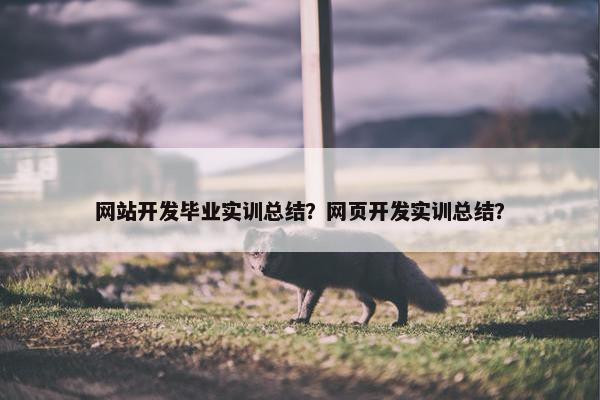 网站开发毕业实训总结？网页开发实训总结？