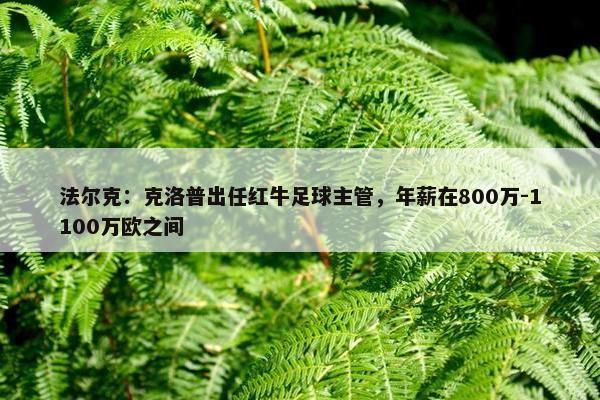 法尔克：克洛普出任红牛足球主管，年薪在800万-1100万欧之间