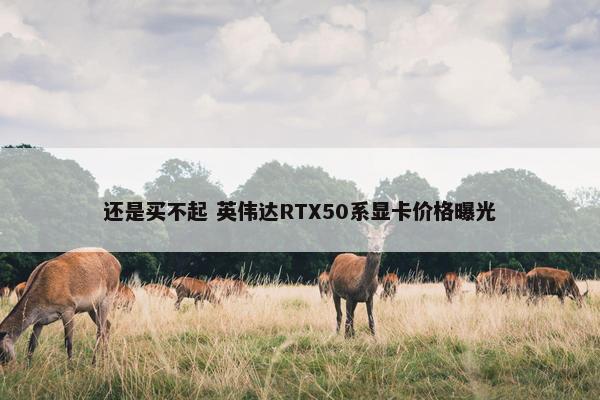 还是买不起 英伟达RTX50系显卡价格曝光