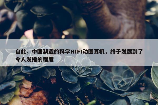 自此，中国制造的科学HIFI动圈耳机，终于发展到了令人发指的程度