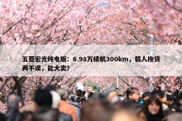 五菱宏光纯电版：6.98万续航300km，载人拖货两不误，能大卖？