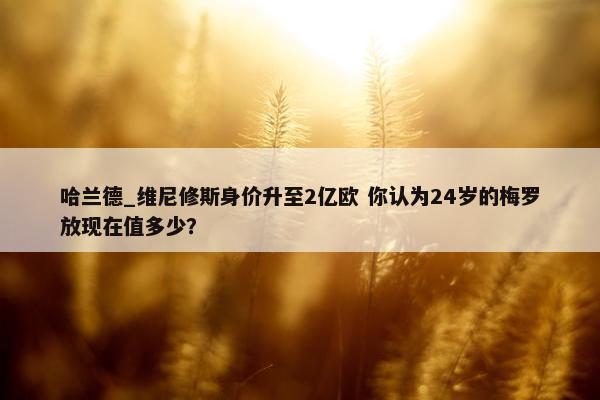 哈兰德_维尼修斯身价升至2亿欧 你认为24岁的梅罗放现在值多少？