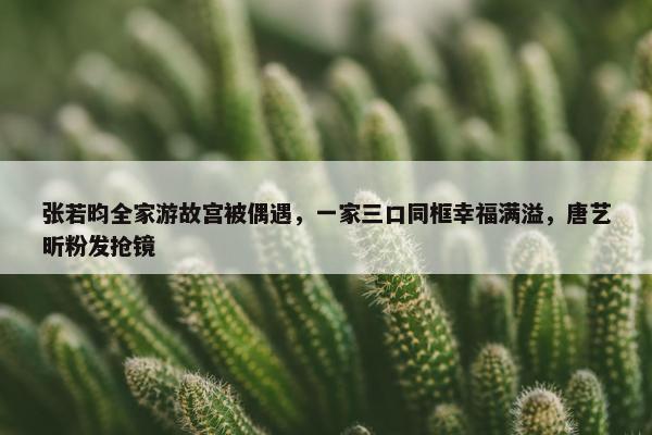 张若昀全家游故宫被偶遇，一家三口同框幸福满溢，唐艺昕粉发抢镜