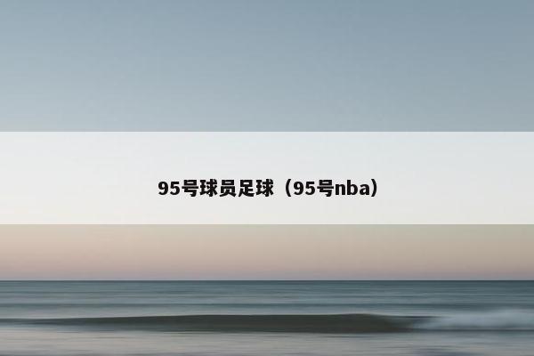 95号球员足球（95号nba）