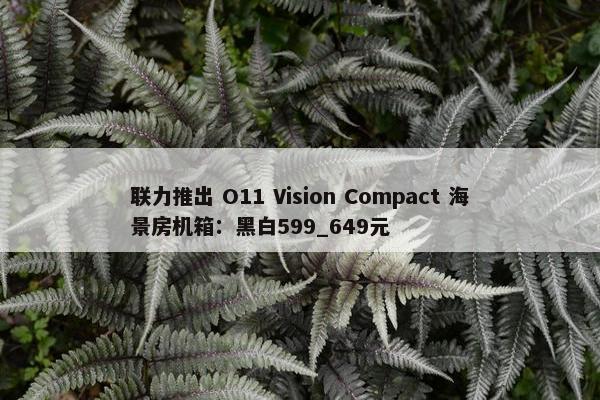 联力推出 O11 Vision Compact 海景房机箱：黑白599_649元