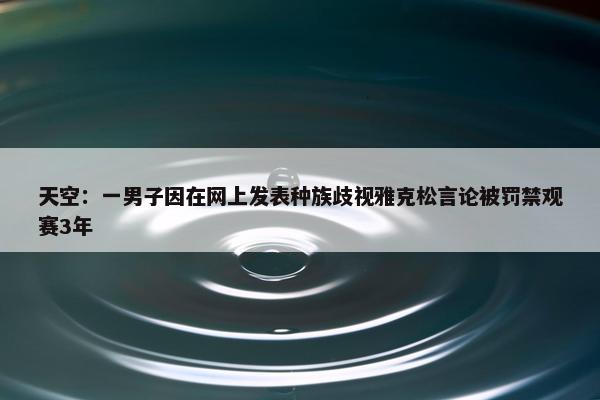 天空：一男子因在网上发表种族歧视雅克松言论被罚禁观赛3年