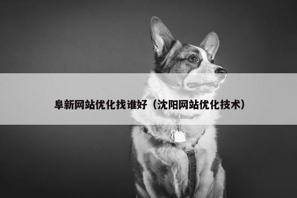 阜新网站优化找谁好（沈阳网站优化技术）