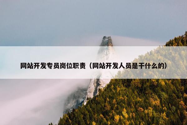 网站开发专员岗位职责（网站开发人员是干什么的）