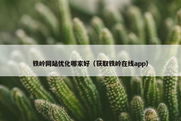 铁岭网站优化哪家好（获取铁岭在线app）