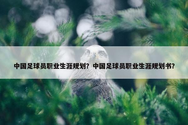 中国足球员职业生涯规划？中国足球员职业生涯规划书？