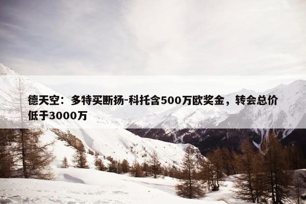 德天空：多特买断扬-科托含500万欧奖金，转会总价低于3000万