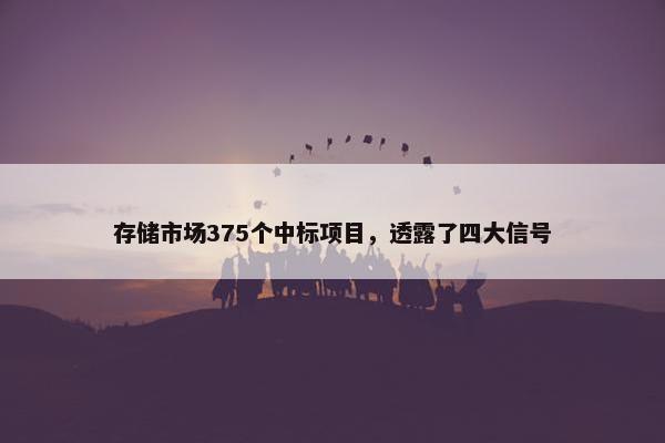 存储市场375个中标项目，透露了四大信号