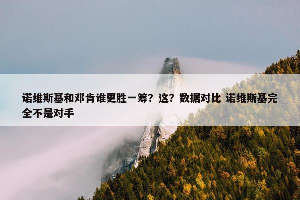 诺维斯基和邓肯谁更胜一筹？这？数据对比 诺维斯基完全不是对手