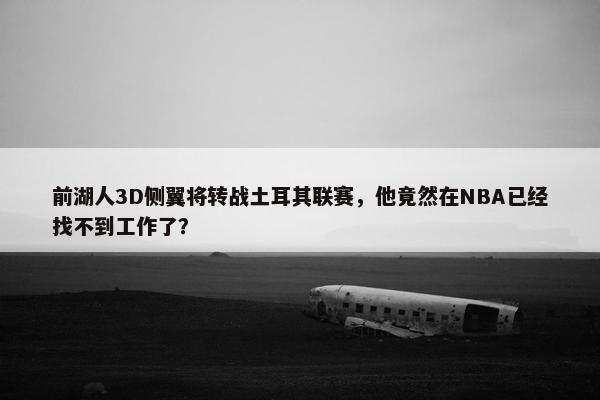 前湖人3D侧翼将转战土耳其联赛，他竟然在NBA已经找不到工作了？