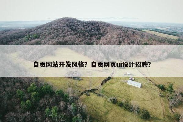 自贡网站开发风格？自贡网页ui设计招聘？