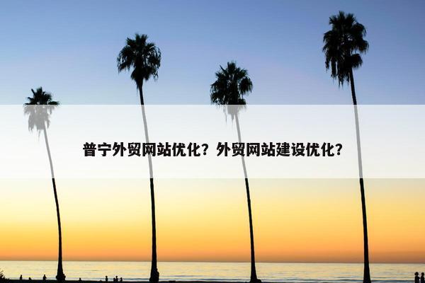 普宁外贸网站优化？外贸网站建设优化？