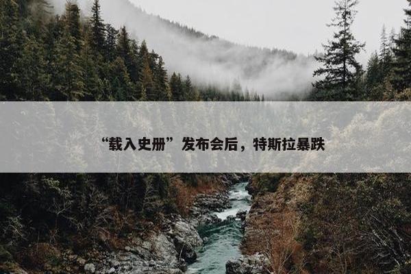 “载入史册”发布会后，特斯拉暴跌