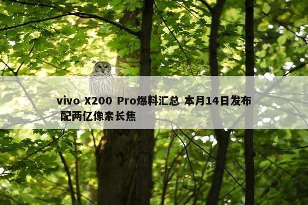 vivo X200 Pro爆料汇总 本月14日发布 配两亿像素长焦