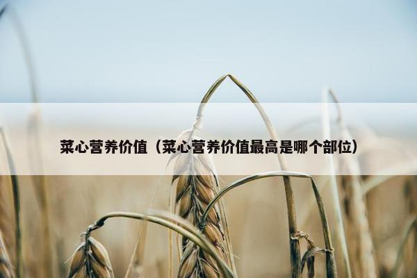 菜心营养价值（菜心营养价值最高是哪个部位）