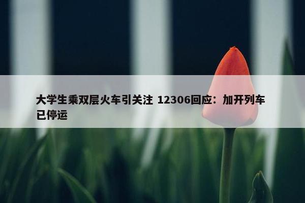 大学生乘双层火车引关注 12306回应：加开列车 已停运