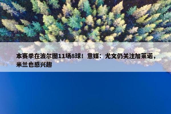 本赛季在波尔图11场8球！意媒：尤文仍关注加莱诺，米兰也感兴趣