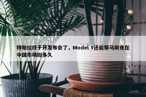 特斯拉终于开发布会了，Model Y还能帮马斯克在中国市场挺多久