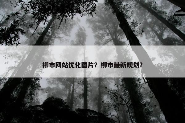 柳市网站优化图片？柳市最新规划？