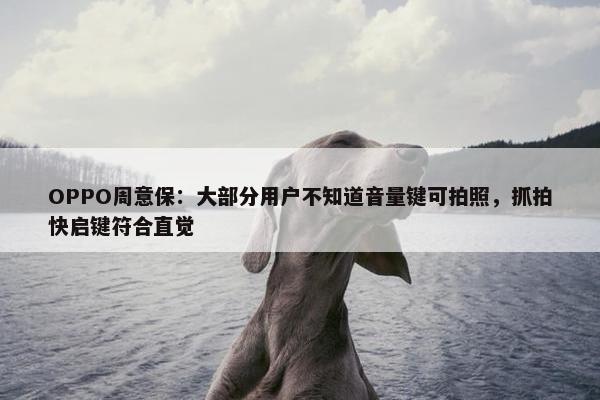 OPPO周意保：大部分用户不知道音量键可拍照，抓拍快启键符合直觉