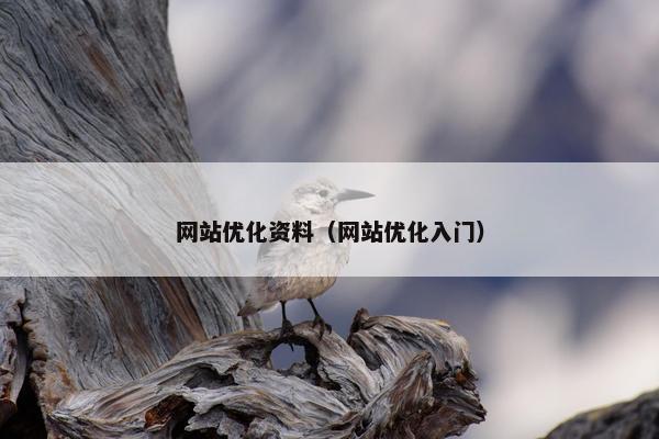 网站优化资料（网站优化入门）