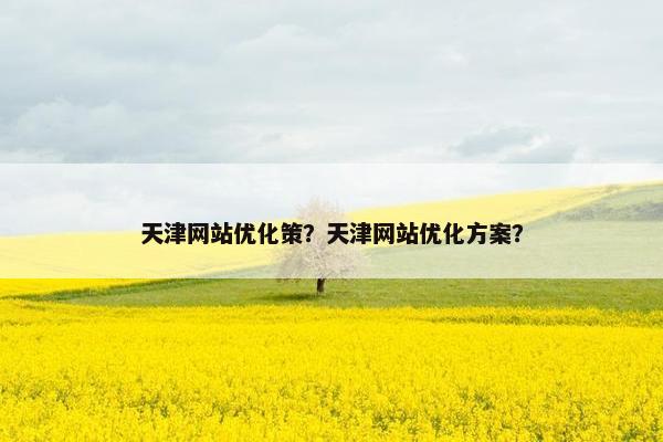 天津网站优化策？天津网站优化方案？