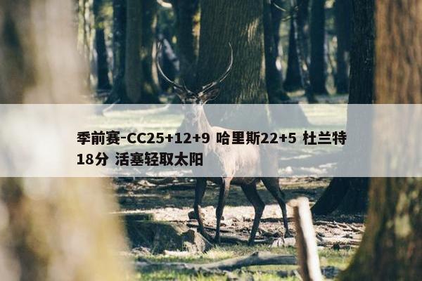 季前赛-CC25+12+9 哈里斯22+5 杜兰特18分 活塞轻取太阳