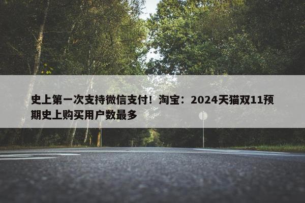 史上第一次支持微信支付！淘宝：2024天猫双11预期史上购买用户数最多