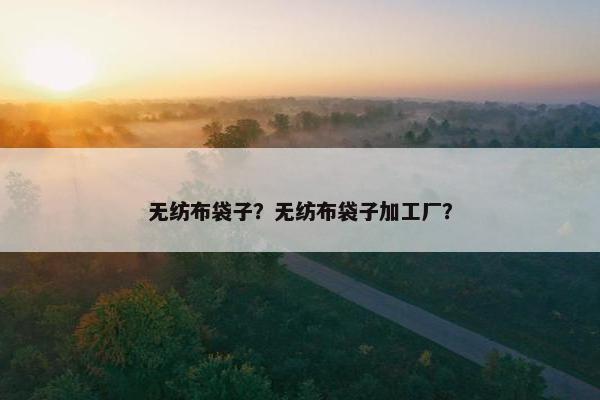 无纺布袋子？无纺布袋子加工厂？