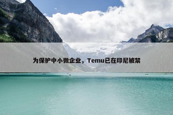 为保护中小微企业，Temu已在印尼被禁