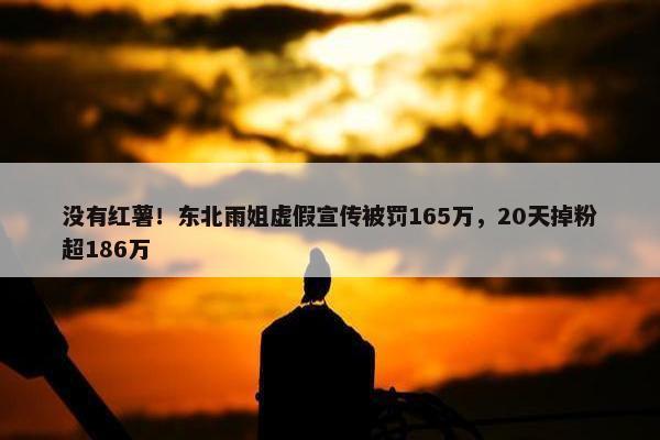 没有红薯！东北雨姐虚假宣传被罚165万，20天掉粉超186万