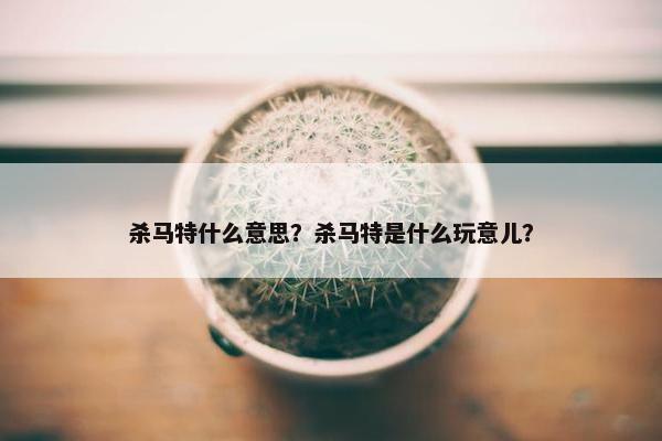 杀马特什么意思？杀马特是什么玩意儿？