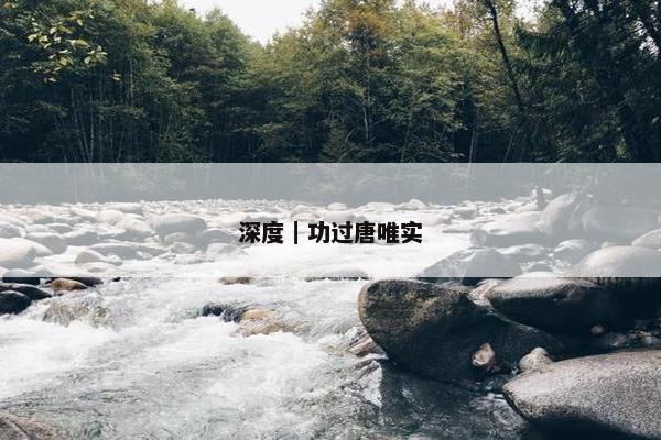 深度｜功过唐唯实