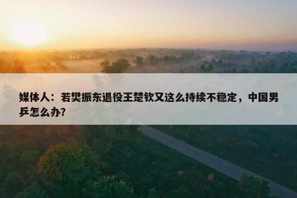 媒体人：若樊振东退役王楚钦又这么持续不稳定，中国男乒怎么办？