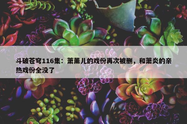 斗破苍穹116集：萧薰儿的戏份再次被删，和萧炎的亲热戏份全没了